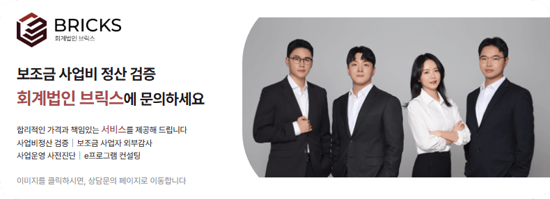 보조금 사업비 지침 및 규정 유의사항, 실무사례 정리 - 회계법인브릭스