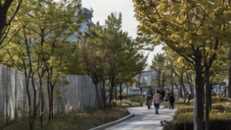 임의감사 검토 시 핵심 체크포인트 인포그래픽 - 투자유치, 외감대상 진입, M&A, 내부 회계 시스템